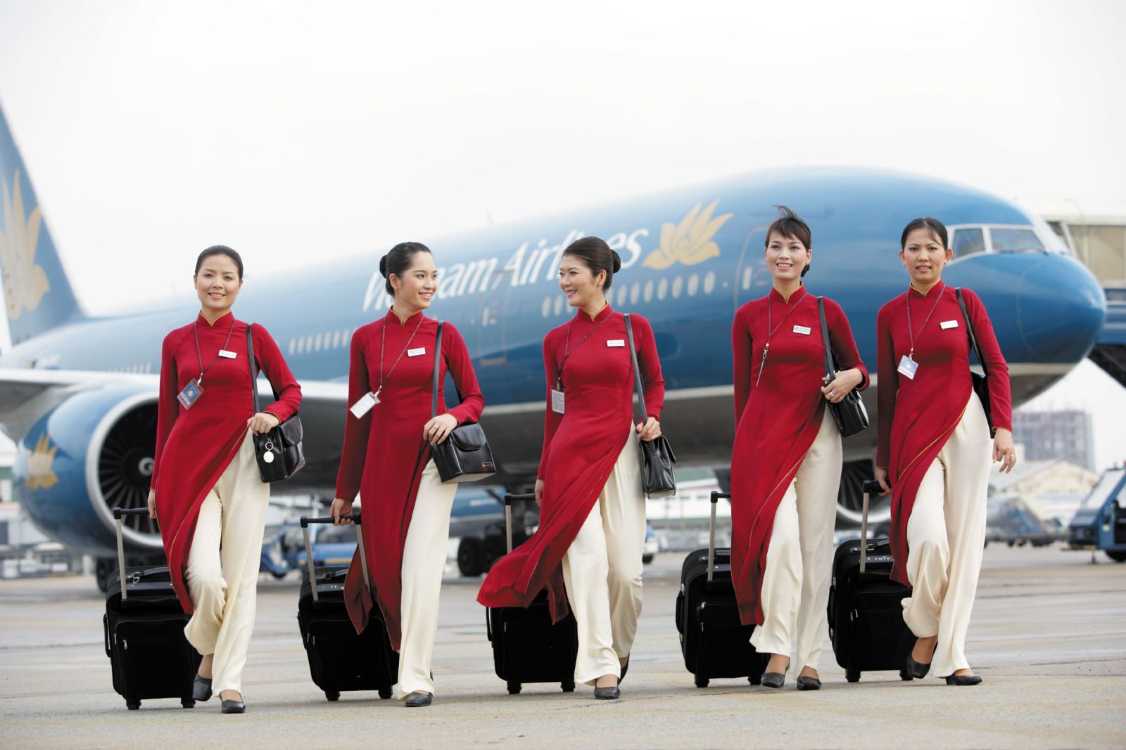 Nghề làm dâu trăm họ. Lý do nữ Việt Kiều nằng nặc đòi đuổi tiếp viên hàng không xinh đẹp?